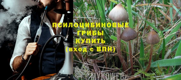 герыч Бронницы