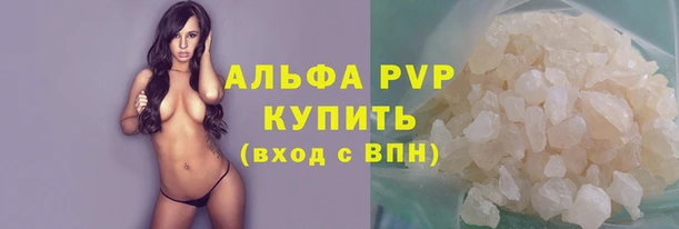 spice Богданович