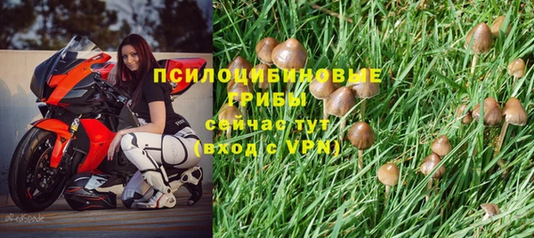 spice Богданович