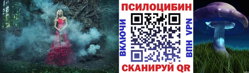 Псилоцибиновые грибы ЛСД  купить наркоту  Данилов 