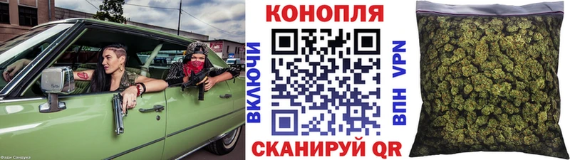 купить наркотики цена  Данилов  ссылка на мегу   Бошки марихуана конопля 